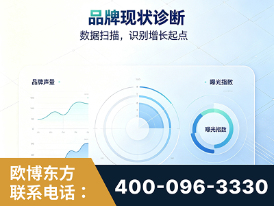 太仓-品牌现状诊断