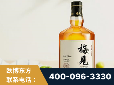 太仓-梅见青梅酒